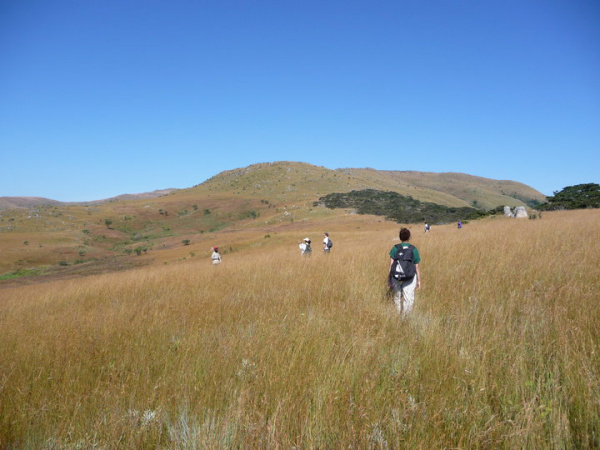 EcoTur Background Image